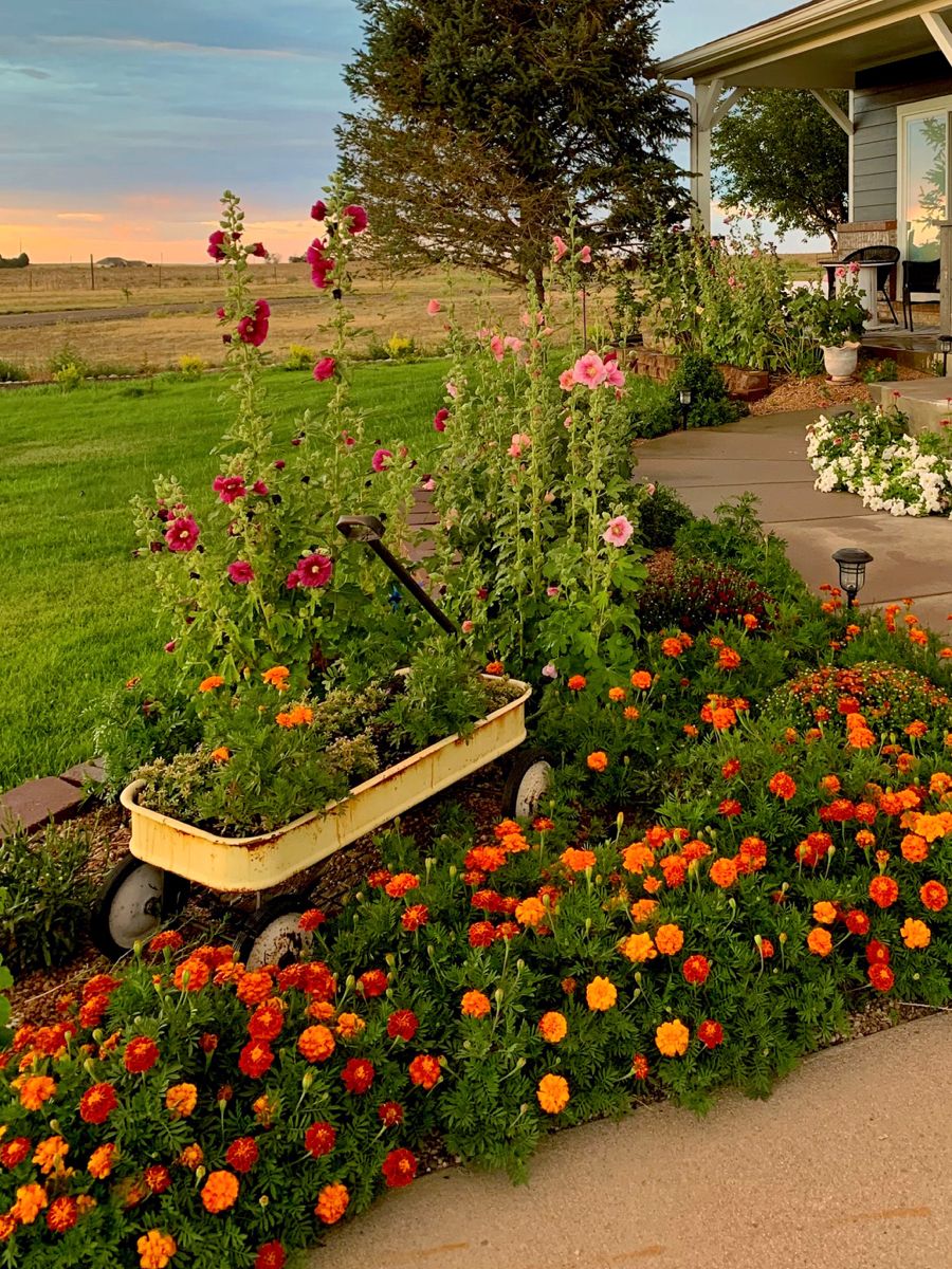 Creating a Beautiful Oasis: Designing
Your Backyard with Flourishing Flowers