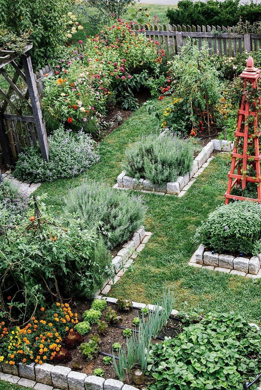 Creating a Beautiful Oasis: Tips for
Designing and Maintaining a Backyard Garden