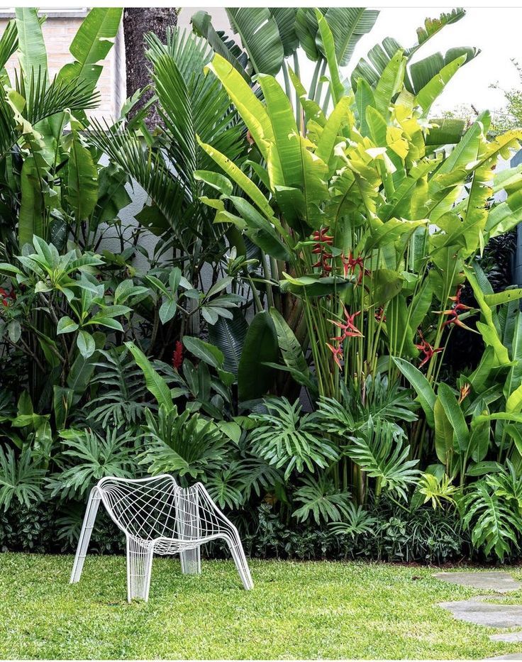 Creating a Lush Paradise: Transforming
Your Backyard with Tropical Design