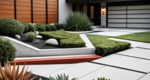 backyard design minimalist