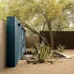 backyard design desert