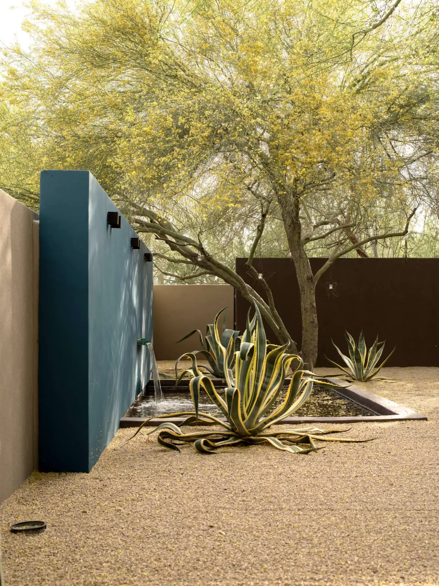 Creating a Oasis: Backyard Design Tips
for the Desert Landscape