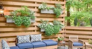 backyard design privacy