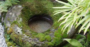 zen garden backyard design