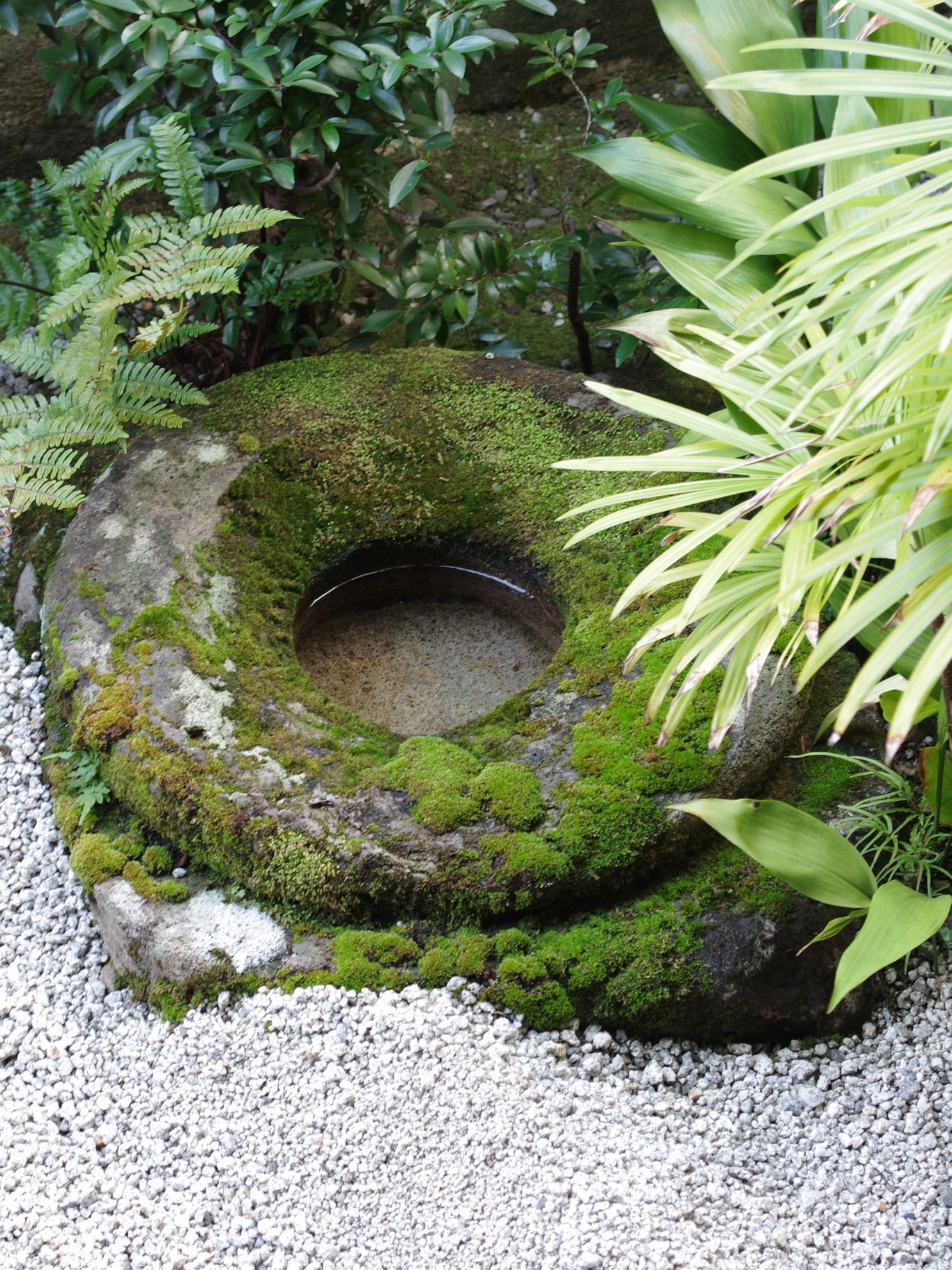 Creating a Serene Retreat: Zen Garden
Backyard Design Ideas