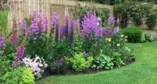 backyard flower garden design