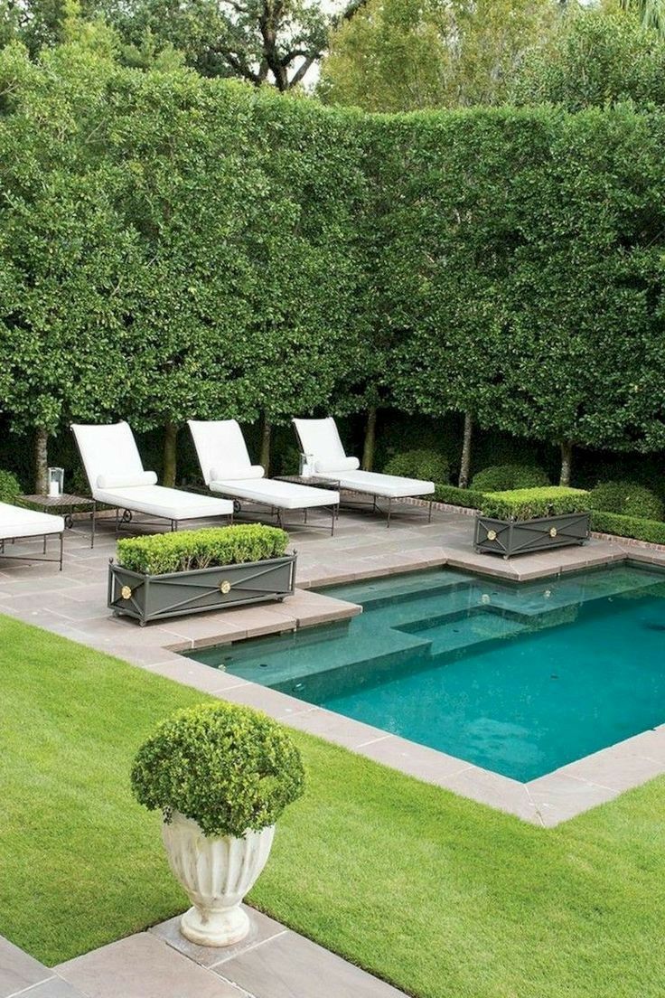 Creating a Stunning Backyard Oasis: Small
Pool Design Ideas