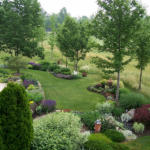 Creating-a-Stunning-Outdoor-Oasis-Tips-for-Large-Backyard-Landscaping.png