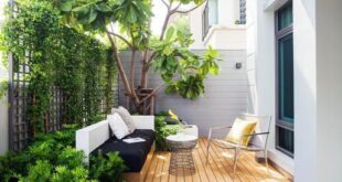 backyard design narrow