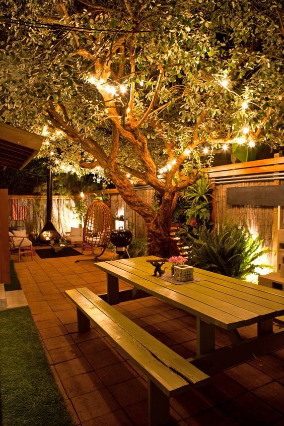 Creating a Tranquil Oasis: Backyard
Design Tips Around a Majestic Tree