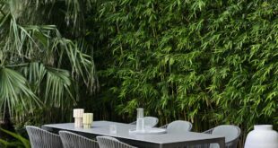 backyard design bamboo