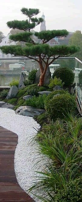 Creating a Tranquil Oasis:
Japanese-Inspired Backyard Design Ideas