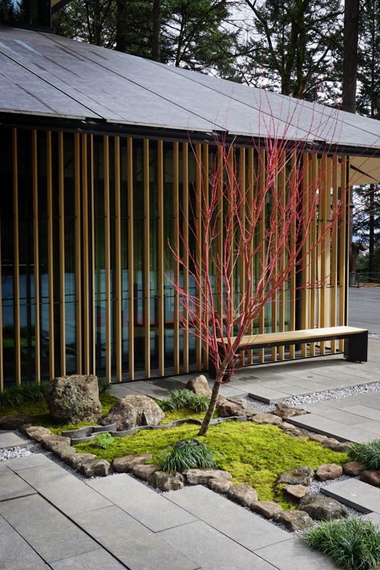 Creating a Tranquil Oasis:
Japanese-Inspired Backyard Designs