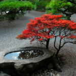 zen garden backyard design