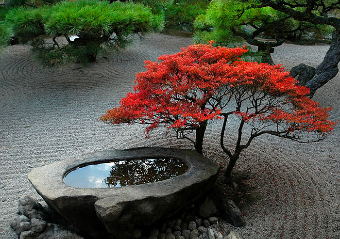 Creating a Tranquil Oasis: Zen Garden
Backyard Design Ideas