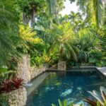 backyard design tropical