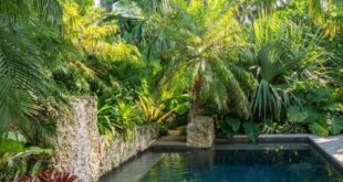 backyard design tropical