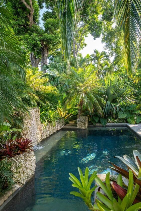 Creating a Tropical Oasis: Backyard
Design Ideas for a Lush Paradise