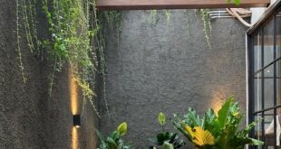 zen backyard design ideas