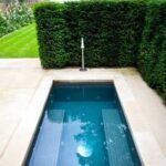 backyard design around pool