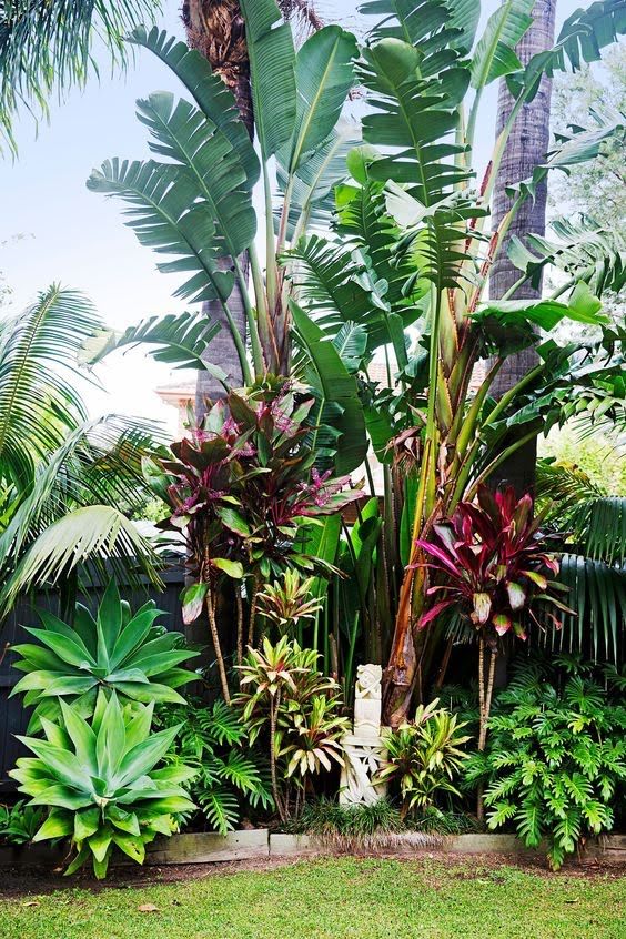 Creating an Oasis: Transforming Your
Backyard with Tropical Design