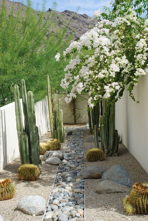 Creating an Oasis: Unleashing the
Potential of Desert Backyard Design