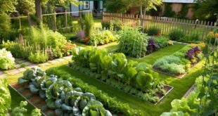 backyard garden design