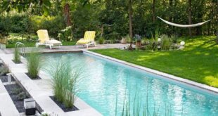 backyard design pool