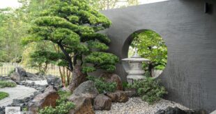 zen backyard design ideas