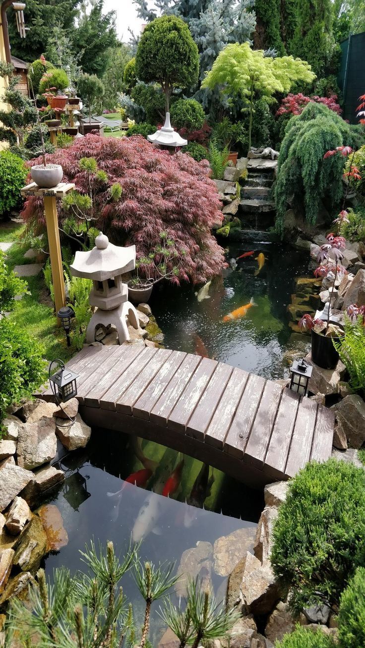 Embrace Tranquility: Exploring the Art of
Japanese Backyard Design