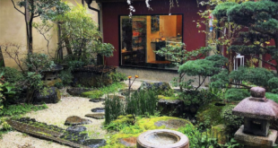 backyard design japan