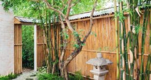 backyard design japan