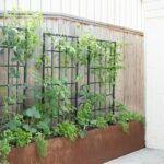 backyard design with vegetable garden