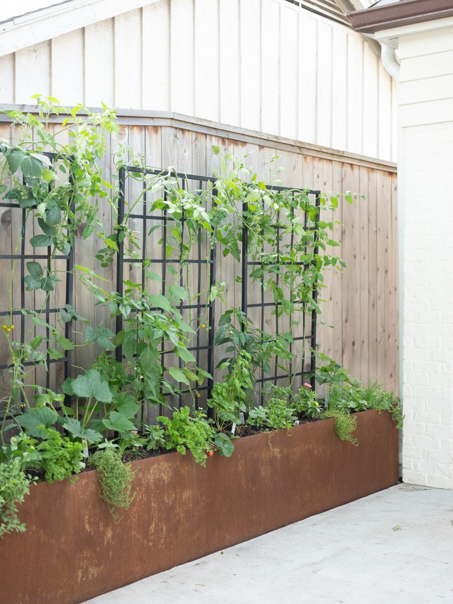 Enhance Your Outdoor Space with a
Beautiful Vegetable Garden: Backyard Design Ideas