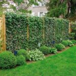 backyard garden design fence