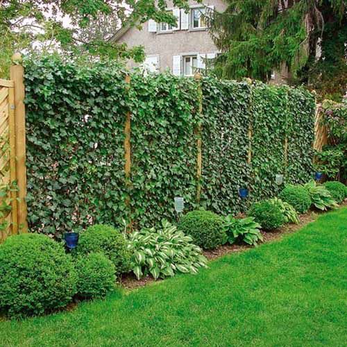 Enhancing Your Outdoor Oasis: How to
Design the Perfect Fence for Your Backyard Garden