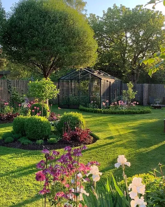 Enhancing Your Outdoor Oasis: The Art of
Backyard Design Aesthetics