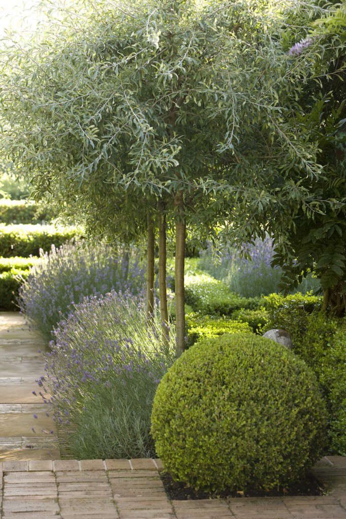 Enhancing Your Outdoor Oasis: The
Ultimate Guide to Backyard Tree Design