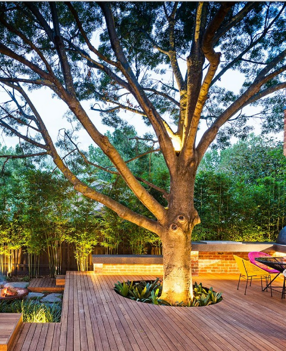 Enhancing Your Outdoor Space: Creative
Backyard Design Ideas Around Trees