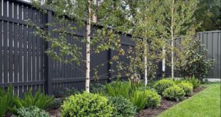 backyard design along fence