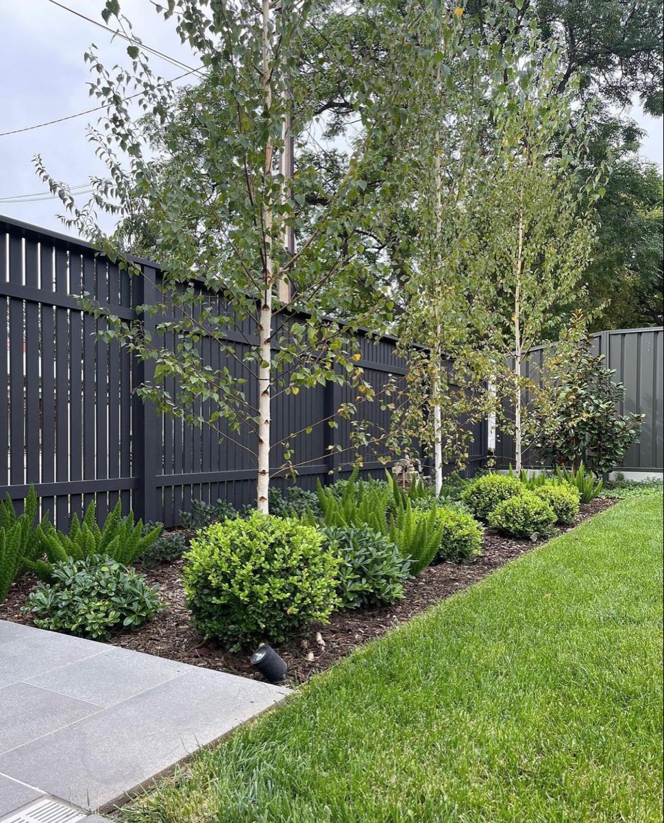 Enhancing Your Outdoor Space: Creative
Backyard Designs Along the Fence