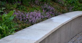 backyard design retaining wall