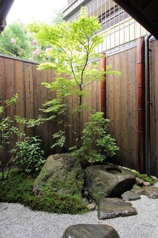 Exploring the Beauty of Japanese Backyard
Garden Design