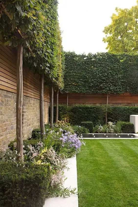 Fence-line Finesse: Maximizing Your
Backyard Design Along the Perimeter