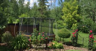 backyard design trampoline