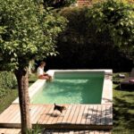 Maximizing-Small-Spaces-The-Beauty-of-Small-Backyard-Pools.jpg