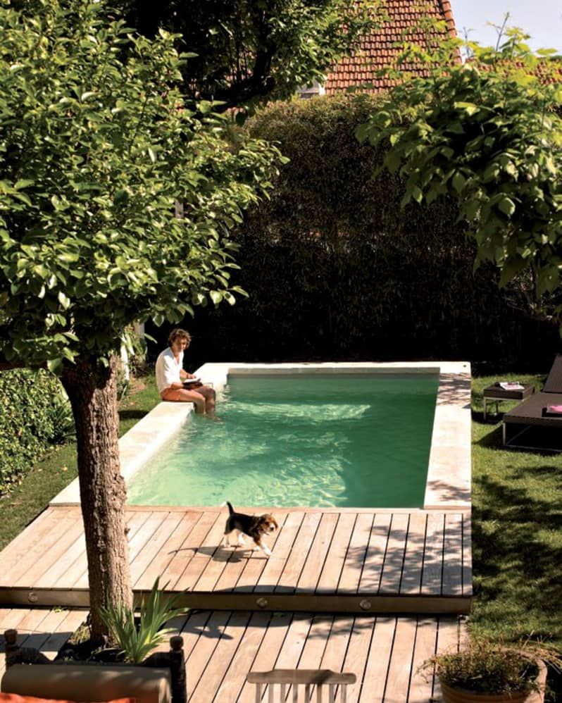 Maximizing Small Spaces: The Beauty of
Small Backyard Pools