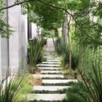 backyard design narrow