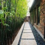 backyard design narrow