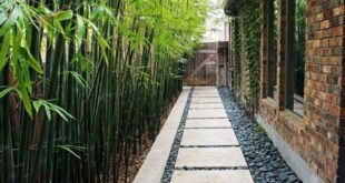 backyard design narrow